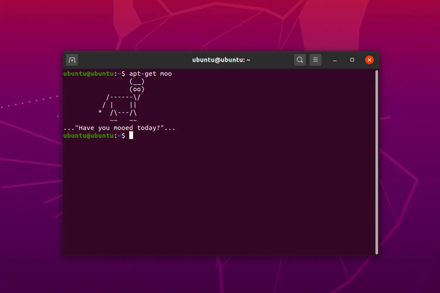 Image of Ubuntu Terminal Program